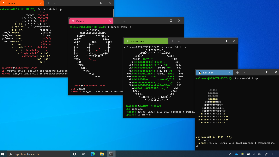 A screenshot of WSL